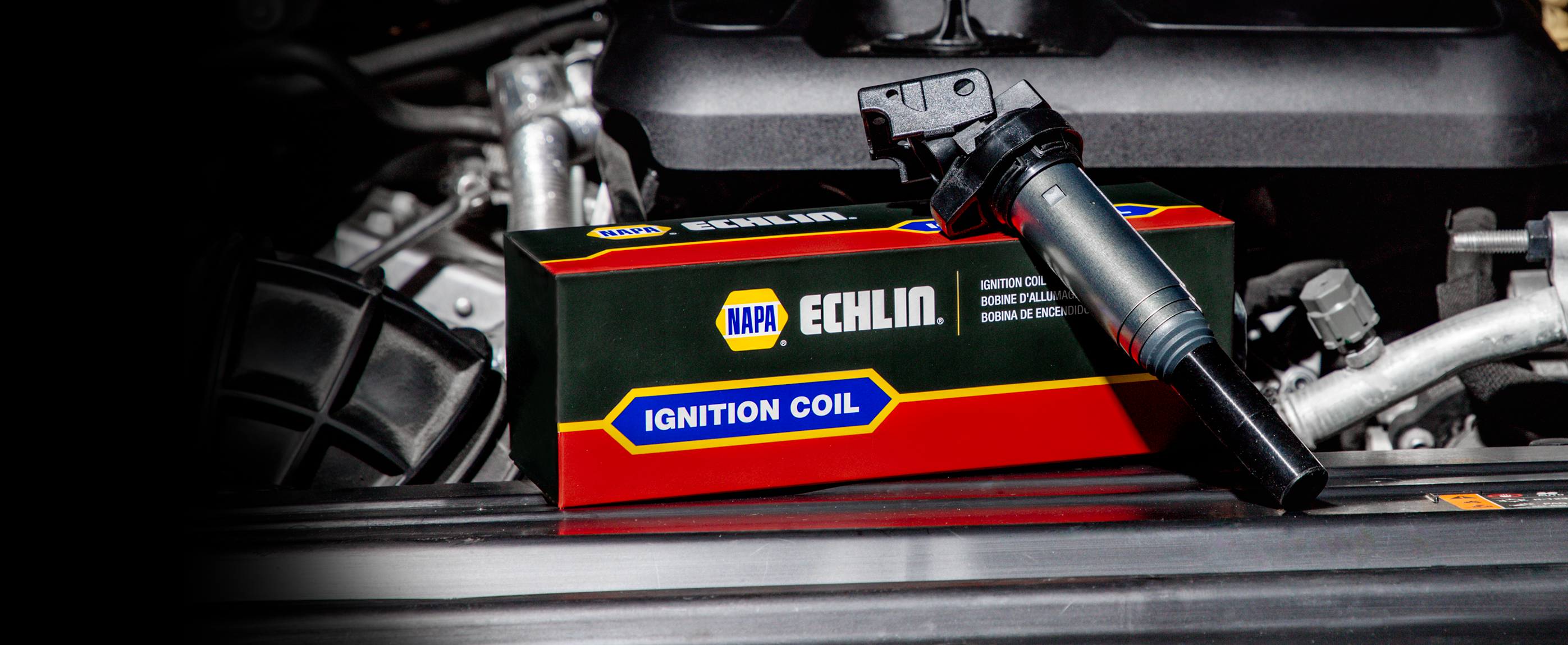 Echlin-Coil-hero-image